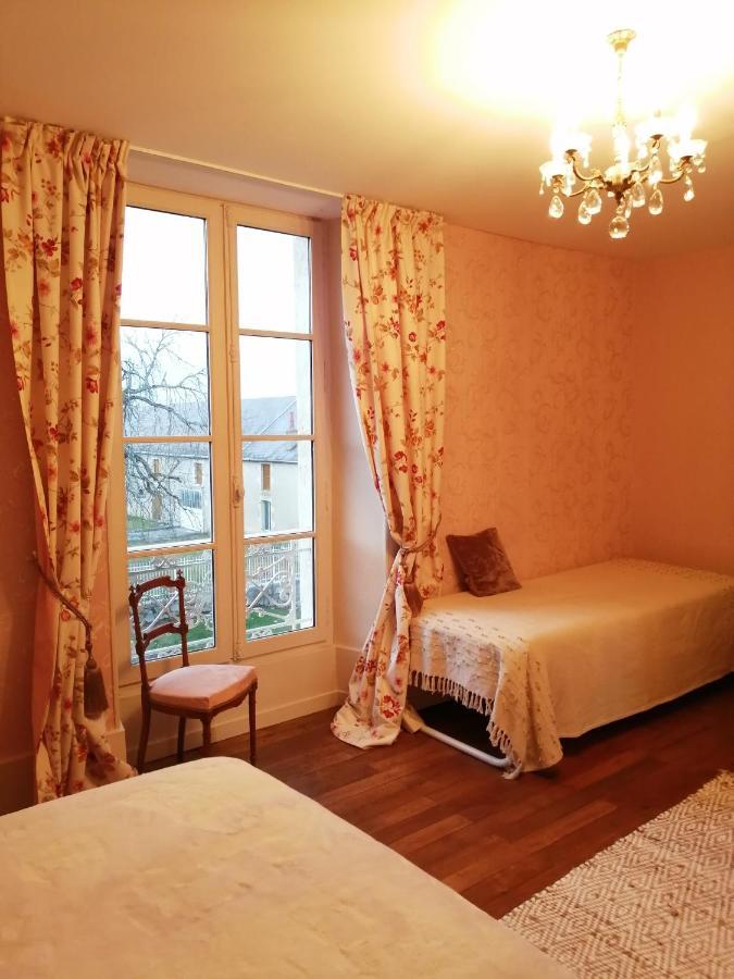 Bengy-sur-Craon Domaine De Prefond B&B 외부 사진