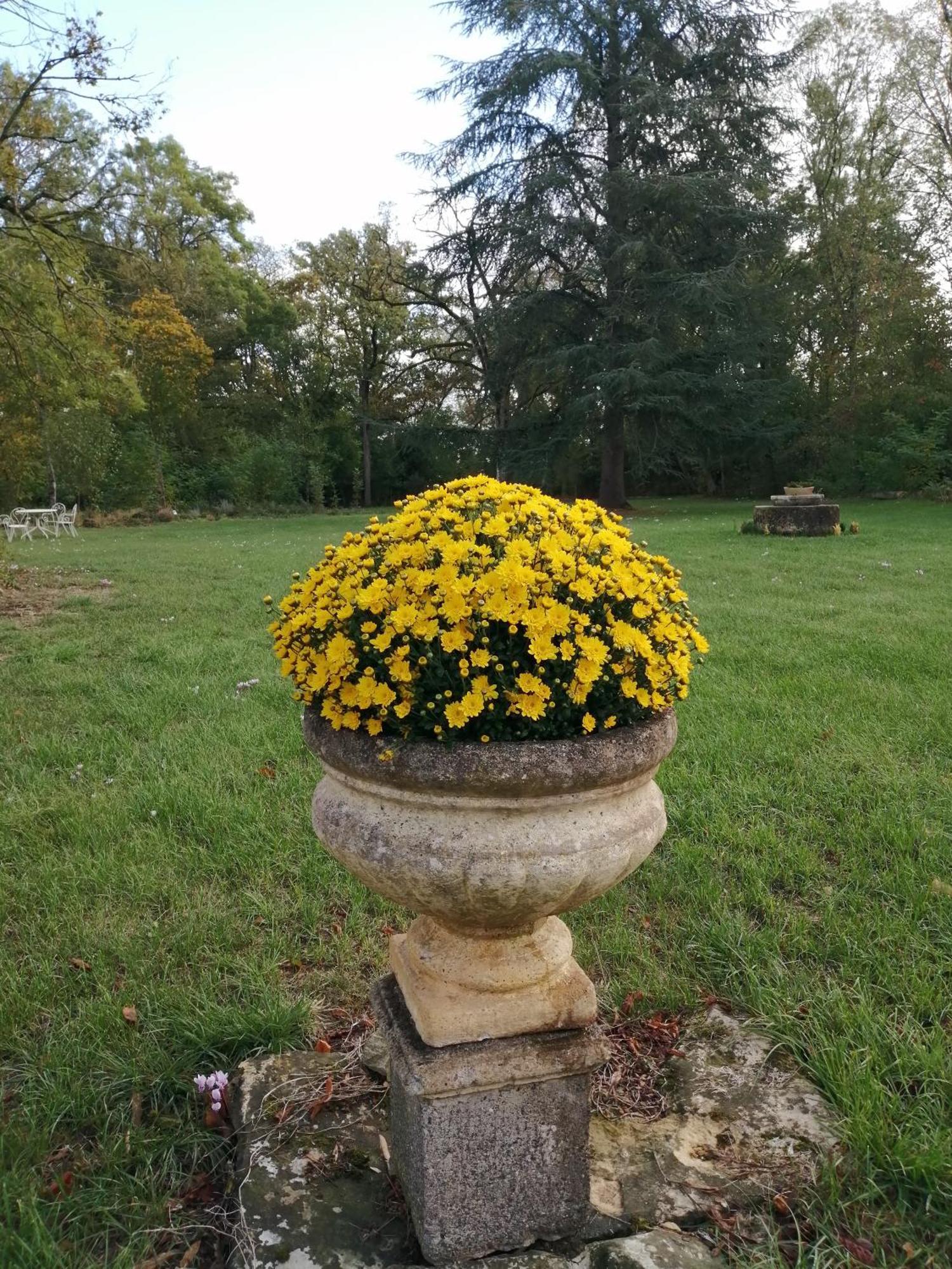 Bengy-sur-Craon Domaine De Prefond B&B 외부 사진